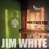 Jim White, Where It Hits You
