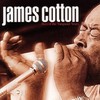 James Cotton, Best Of The Vanguard Years
