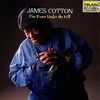 James Cotton, Fire Down Under The Hill