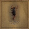 Will Johnson, Scorpion