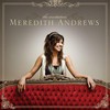 Meredith Andrews, The Invitation