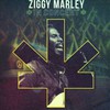 Ziggy Marley, In Concert