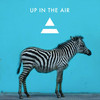 30 Seconds to Mars, Up In The Air