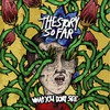 The Story So Far, What You Don't See
