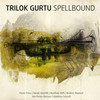 Trilok Gurtu, Spellbound