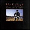 Pink Floyd, Delicate Sound Of Thunder