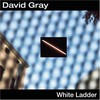 David Gray, White Ladder
