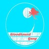 Bloodhound Gang, Screwing You On The Beach At Night