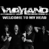 Wayland, Welcome To My Head