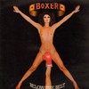 Boxer, Below The Belt