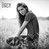 Birdy, Fire Within (Deluxe Edition)