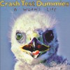 Crash Test Dummies, A Worm's Life