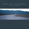 Steve Roach, New Life Dreaming