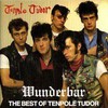 Tenpole Tudor, Wunderbar: The Best of Tenpole Tudor