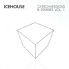 Icehouse, 12 Inch Versions & Remixes Vol. 1