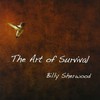 Billy Sherwood, The Art Of Survival