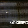 Gingerpig, The Ways Of The Gingerpig