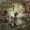 Dark Forest, The Awakening 