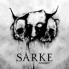 Sarke, Aruagint