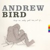 Andrew Bird, Things Are Really Great Here, Sort Of...
