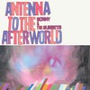 Sonny & The Sunsets, Antenna to the Afterworld