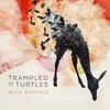 Trampled by Turtles, Wild Animals