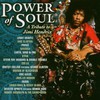 Various Artists, Power of Soul: A Tribute to Jimi Hendrix