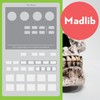 Madlib, The Beats (Our Vinyl Weighs a Ton Soundtrack)