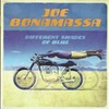 Joe Bonamassa, Different Shades Of Blue