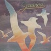 Seawind, Seawind 1980