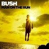 Bush, Man on the Run
