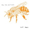 The Life And Times, Lost Bees