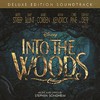 Various Artists, Into the Woods