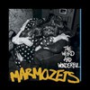 Marmozets, The Weird And Wonderful Marmozets
