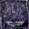 Neonfly, Strangers in Paradise