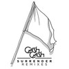 Cash Cash, Surrender Remixes