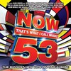 Various Artist, NOW 53: That's What I Call Music