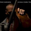 Avishai Cohen Trio, From Darkness