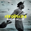 Marcus Miller, Afrodeezia