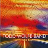 Todd Wolfe Band, Long Road Back