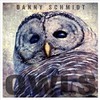 Danny Schmidt, Owls