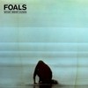 Foals, What Went Down