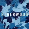 Etherwood, Blue Leaves