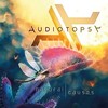 Audiotopsy, Natural Causes