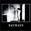 Bauhaus, In the Flat Field