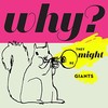 They Might Be Giants, Why?