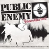 Public Enemy, Revolverlution