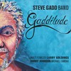 Steve Gadd Band, Gadditude